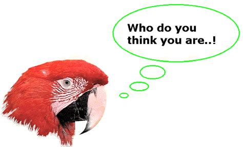 parroting meaning|How Parroting Is Used in Therapy .